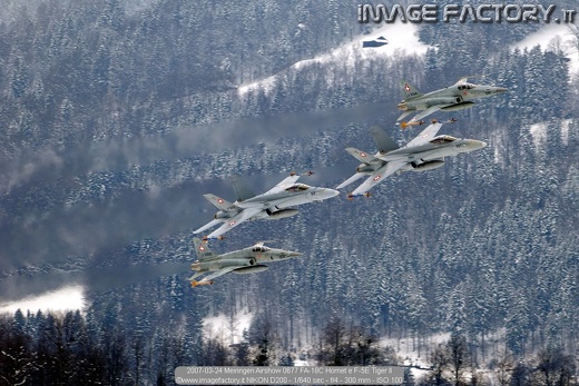 2007-03-24 Meiringen Airshow 0677 FA-18C Hornet e F-5E Tiger II